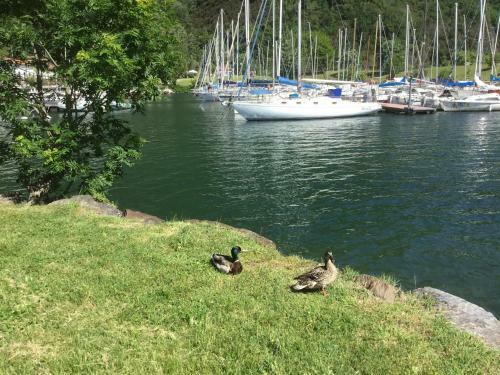 Apartamento Comolakehome A Due Passi Dal Lago