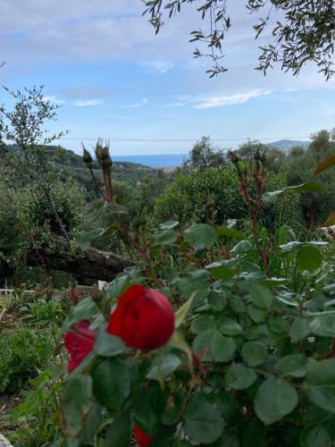Apartamento Casa Belvedere
