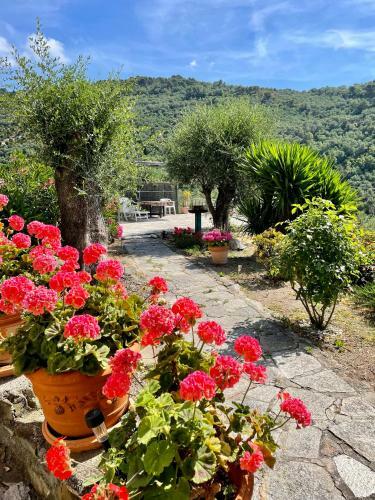 Apartamento Casa Belvedere