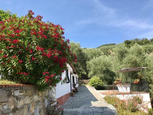 Casa Uliveto