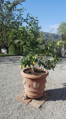 Apartamento Casina Di Vicchio