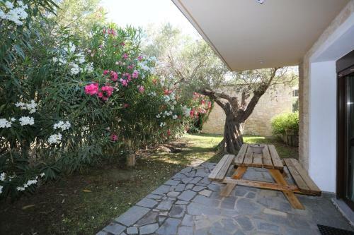 Villa Argo 3 - Beachfront, Big Gardens, Location!