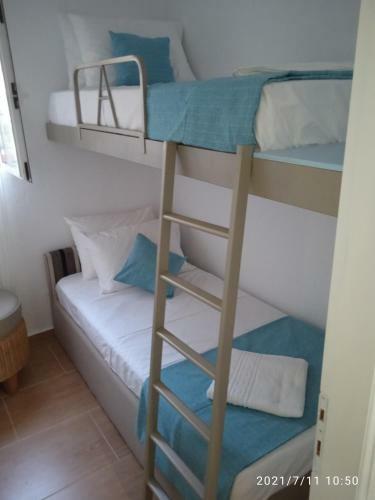 Seashell Apartment