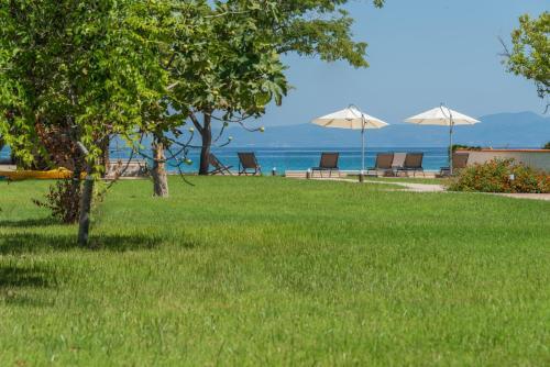 Arelia Beachfront Apartments