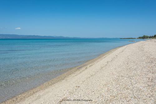 Arelia Beachfront Apartments
