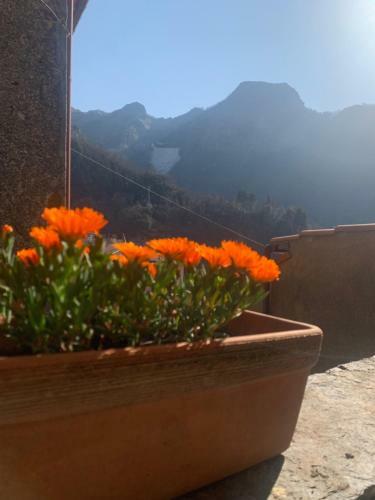 Alloggio Residenziale Nel Cuore Delle Alpi Apuane