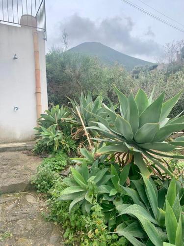 Casa Di Rebecca