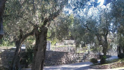 Apartamento Appartamento Casa Luisa Malcesine