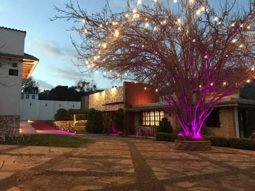 Villa Quinta La Soledad