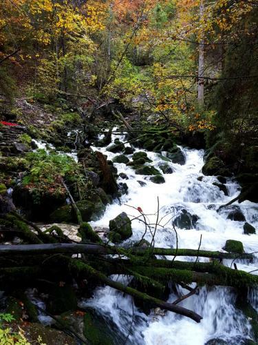 Bed & Breakfast Haus Salzkammergut