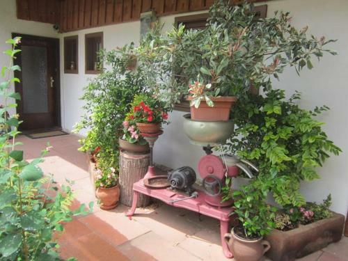 Apartamento Ferienhaus Hubhof
