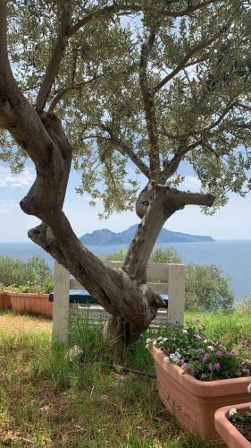 Baia Di San Lorenzo Resort