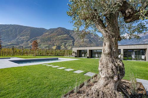 Bed & Breakfast Auhof