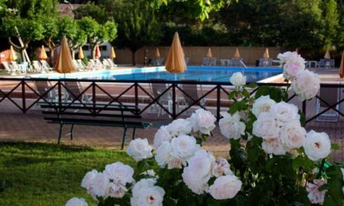 Apartamento Casa Di Nonna Cate