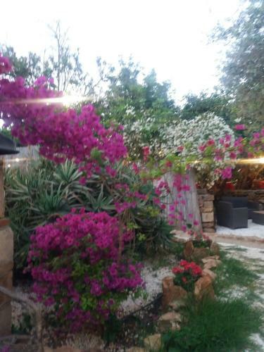 Agroturismo Affittacamere Calamosche