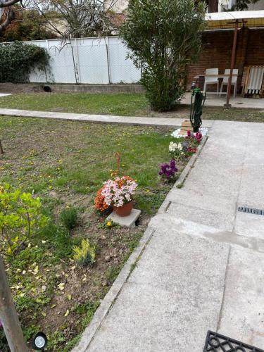 Apartamento Casa Noah