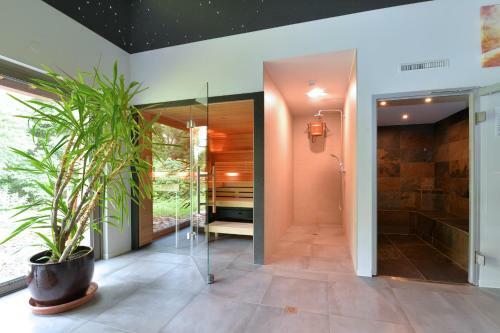 L'�clos Des Vignes - Appartements Haut de Gamme Avec Spa