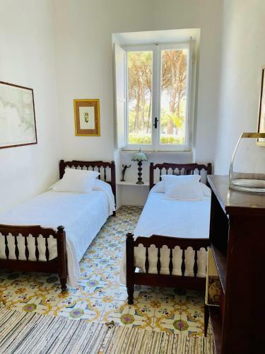 Villa Clementino