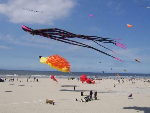 Apartamento Appart 4-6 Pers Berck-plage Hyper-centre