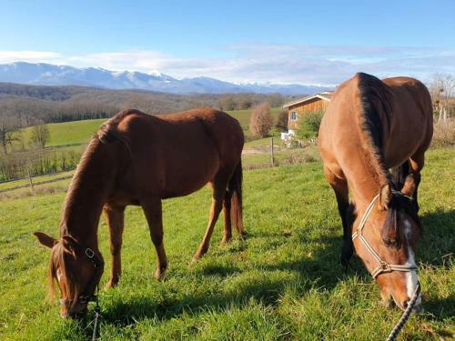 Un Petit Coin de Bonheur Au Ranch