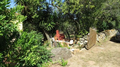 Apartamento Casa Zebra