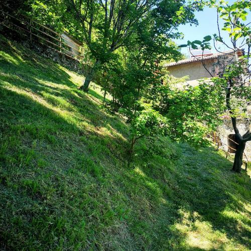 Ulivella Holiday Home