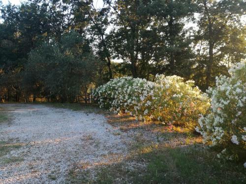 Apartamento Casetta Pescine