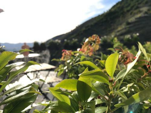 Bed & Breakfast Borgo Manca Suite