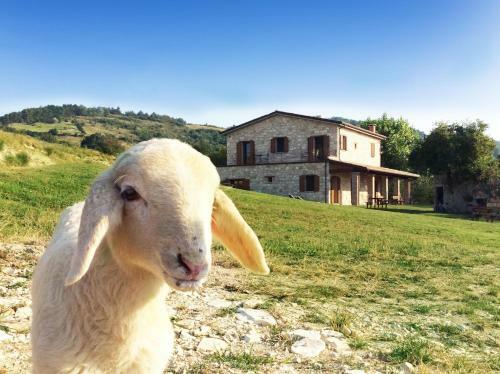 Agroturismo Fattoria Bio L'a Ceccoli