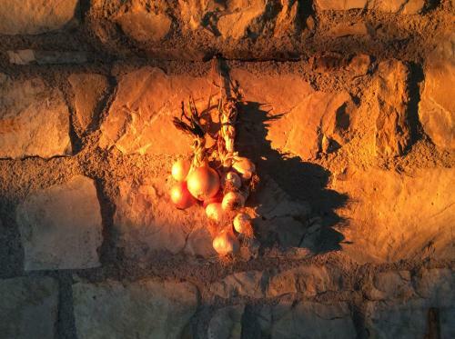 Agroturismo Fattoria Bio L'a Ceccoli