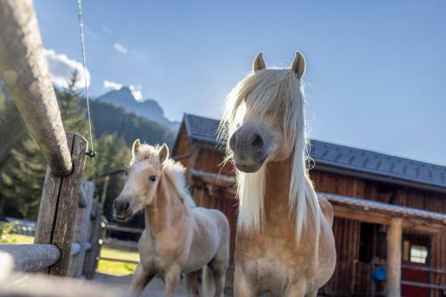 Agroturismo Ploderhof