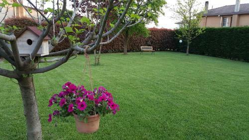 Bed & Breakfast Il Farfasole