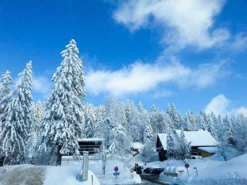 Apartamento Residenz Grafenmatt 3 1