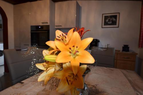 Apartamento Haus Cosso
