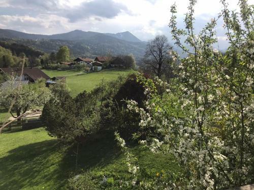 Apartamento Entspannen Mit Bergpanorama