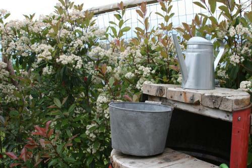 Bed & Breakfast Guest House Al Devesio
