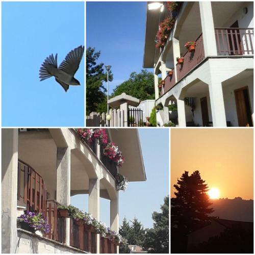 Apartamento Il Nido Delle Rondini
