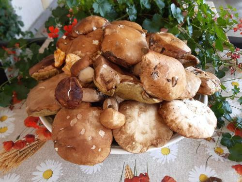 Apartamento Il Nido Delle Rondini