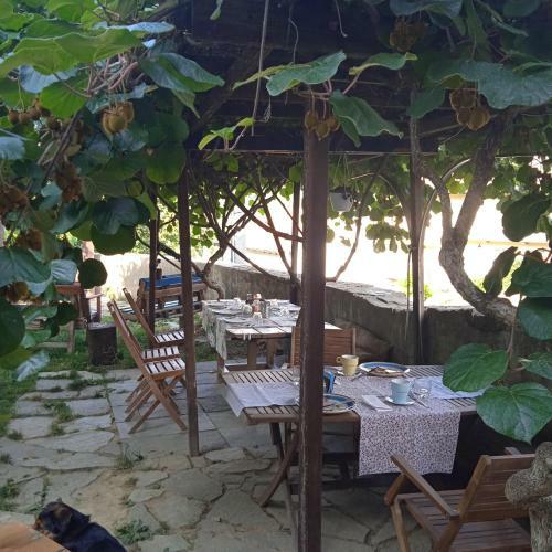 Bed & Breakfast Pocoburro Ca' D'arte