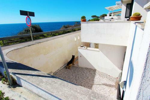 Villetta Azzurro Mare 453