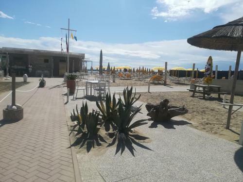 Apartamento Family Dream Sole