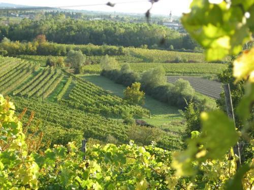 Capriva Del Friuli - Casa Roncus