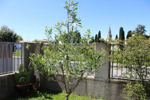 Bed & Breakfast Villa Madi
