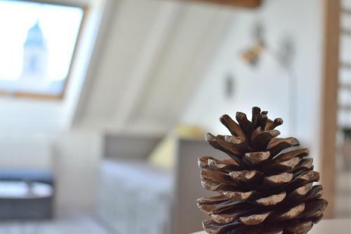 Apartamento Charmant Studio, Le Petit Gris Des Montagnes