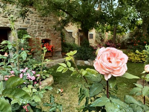 Apartamento Villa La Mucchia - Orchidea