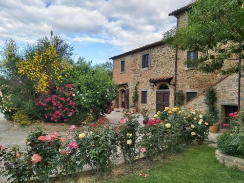 Apartamento Villa La Mucchia - Viola