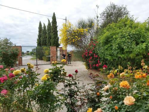 Apartamento Villa La Mucchia - Viola