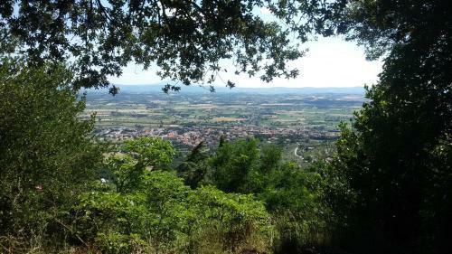 Apartamento Villa La Mucchia - Viola