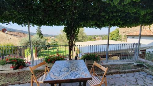Casina Morogina