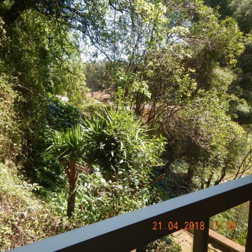 Apartamento Cimiez R�sidentiel